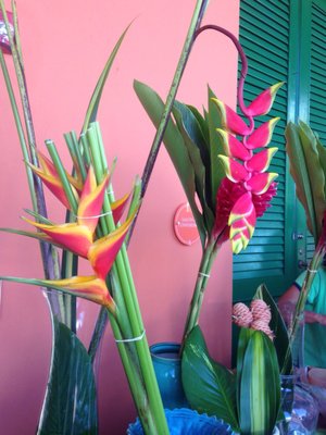 Viejo San Juan Farmers Market by null