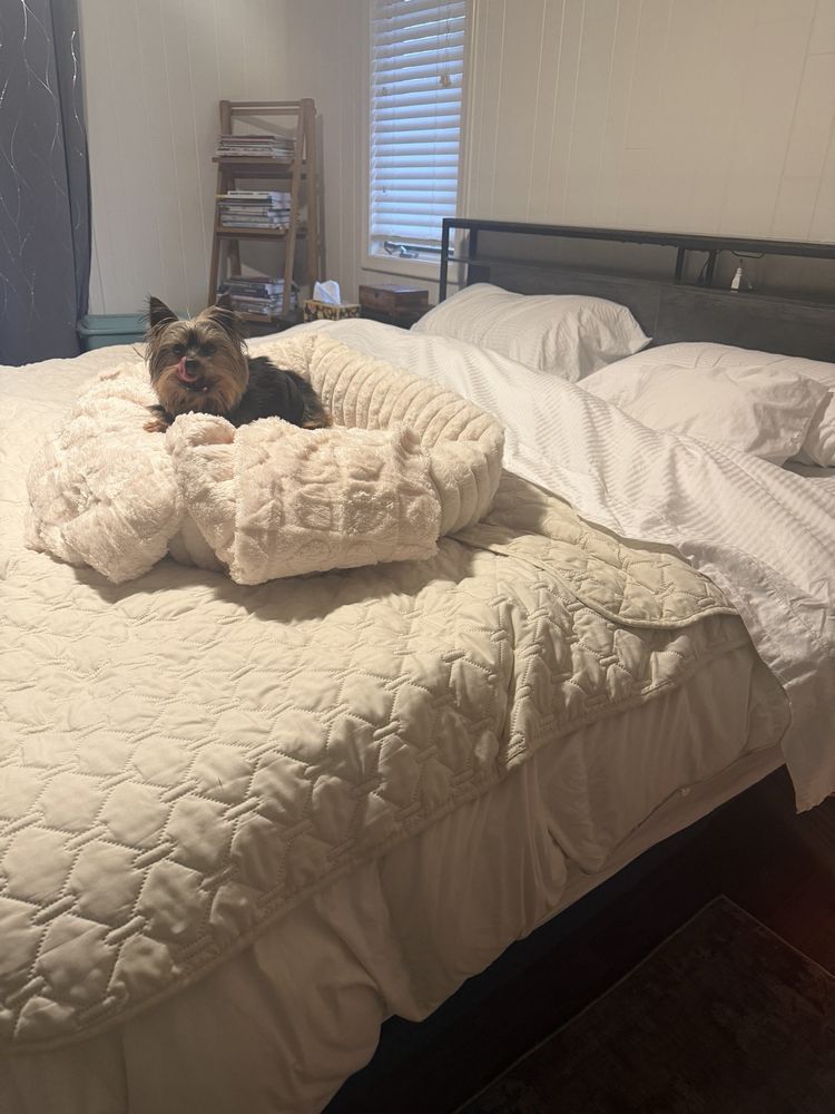 The Mattress Source