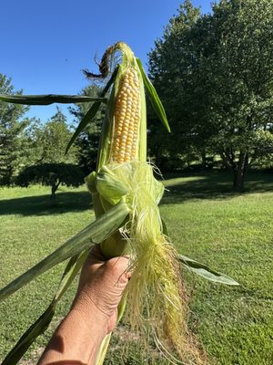 Holmquest Farms & Greenhouse by null