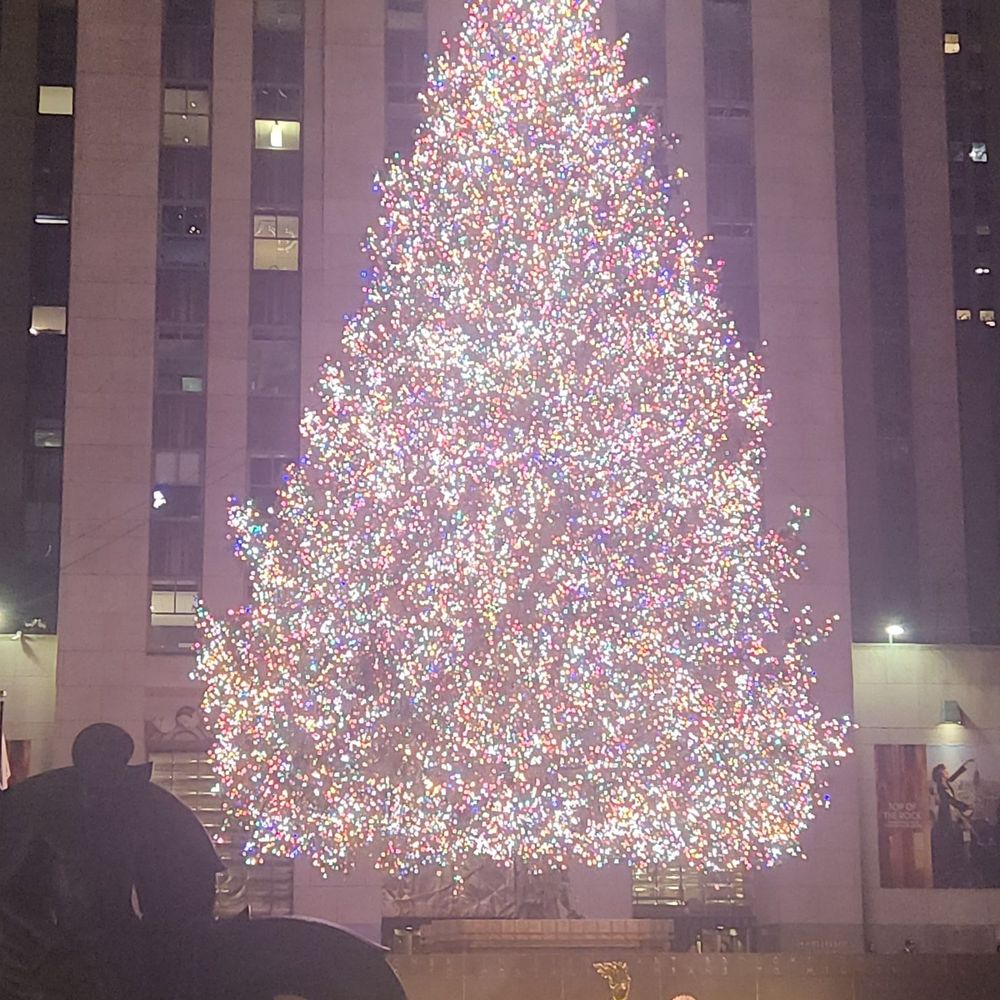 Rockefeller Center Christmas Tree - Christmas Trees Near Me - New York, New York Rockefeller Center Christmas Tree - Christmas Trees Near Me - New York, New York