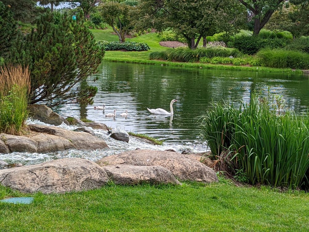 Dunne Park Image