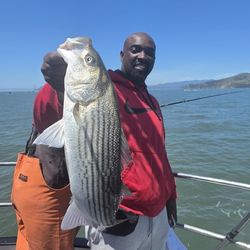 Amethyst Fishing Charters