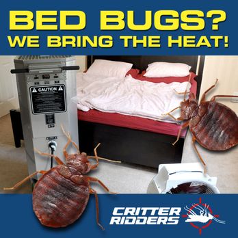 Critter Ridders - Pest Control Near Me - Nedrow, New York Critter Ridders - Pest Control Near Me - Nedrow, New York