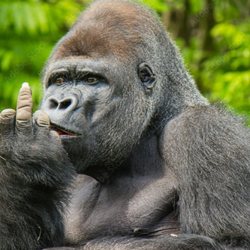 Bounce Back Sports - This is what I really think of my customers