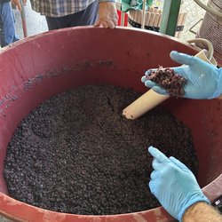 Make Wine With Us
