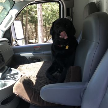 Happy 2 Help Moving - Our client's dog Snoop approves of our service! - Movers Near Me - Ponte Vedra Beach, Florida Happy 2 Help Moving - Our client's dog Snoop approves of our service! - Movers Near Me - Ponte Vedra Beach, Florida