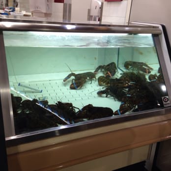 Giant - Lobsters at Giant! - Grocery Near Me - Washington, DC, District of Columbia