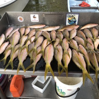 Sea Dog Charters - Our catch for the day! - Boating Near Me - Marathon, Florida Sea Dog Charters - Our catch for the day! - Boating Near Me - Marathon, Florida