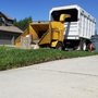 Photo of Blue Pine Tree Service