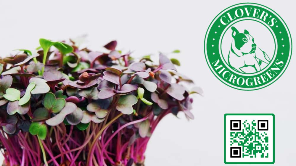 Clover's Microgreens Logo