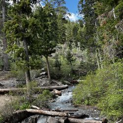MT. Charleston Spring Mountains - Little Waterfalls along the path, there are also about 7 picnic tables on the path as well