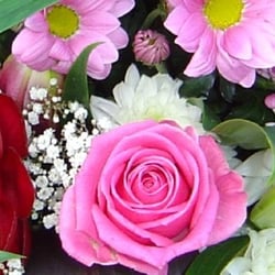 Absolutely Flowers - Dried Flower Shop Tacoma WA