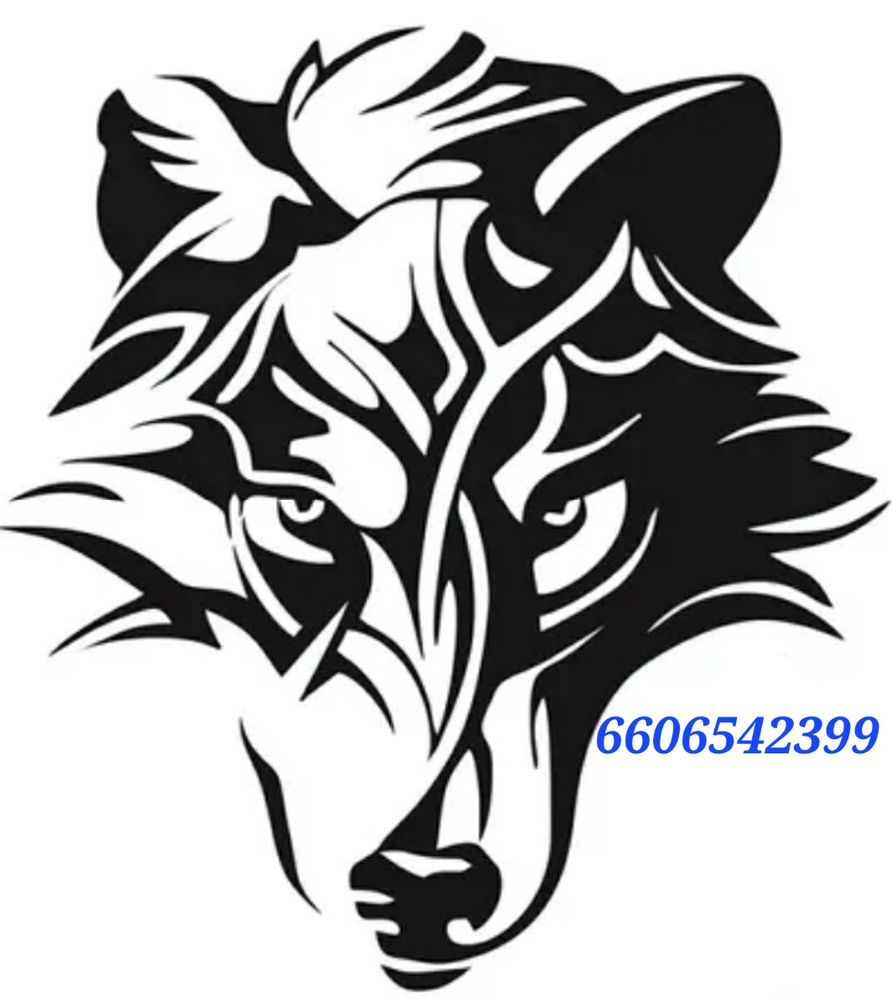 wolfpack-cab-trenton-mo-yelp