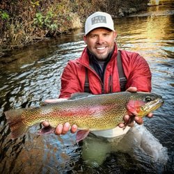 The Fish Hawk