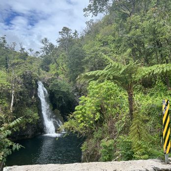 Hana and Beyond Tours - Bus Tours Near Me Hana and Beyond Tours - Bus Tours Near Me