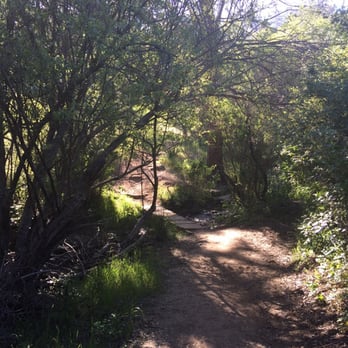 Waterfall Loop at Mount Diablo State Park - My preferred route: Regency Gate to Donner Cabin Site to Donner Canyon Rd S back to Regency Gate - Hiking Near Me - Clayton, California