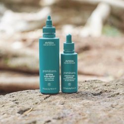 Keora Aveda Salon & Spa - Using a lot of dry shampoo? Then your scalp needs to be cleaned! The root of healthy hair is at the scalp! Try Pramasana.