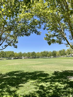 Gardens Park by null