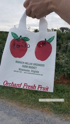 Marker-Miller Orchards by null