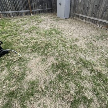 Q Landscape - Lawn Services Near Me