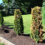 Photo of Stone Mulch & More