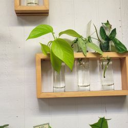 North Park Nursery