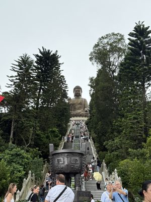 Ngong Ping 360 by null