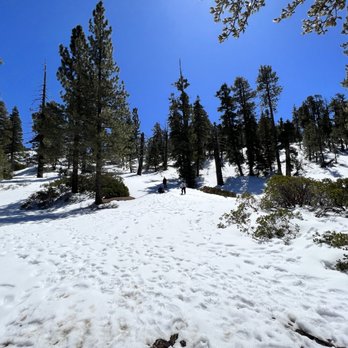 Cougar Crest Trail - April 1st, 2023 - Hiking Near Me Cougar Crest Trail - April 1st, 2023 - Hiking Near Me
