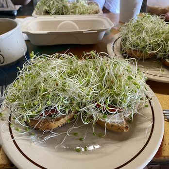 Tin Shack Bakery - Vege pesto bagels.... Mmmmm - Coffee & Tea Near Me - Pāhoa, Hawaii