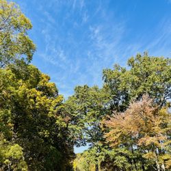 Pascack Brook County Park - Some trees haven't begun to change yet
