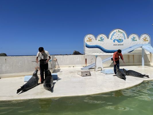 Otaru Aquarium by null