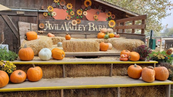 Avila Valley Barn by null