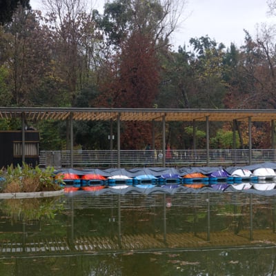 Parque Quinta Normal by null