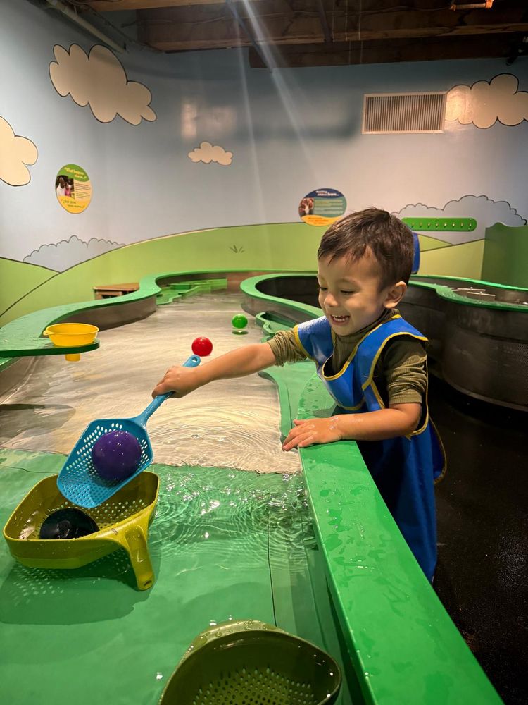 Little paws childcare - childcare center in Framingham, MA