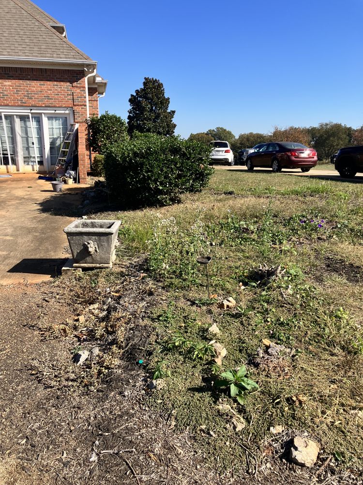 Slide of That guy landscaping