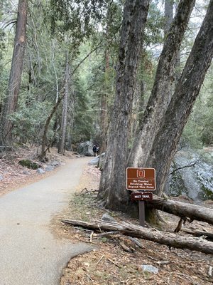 Mist Trail by null