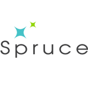 Spruce Services and Solutions - Pressure Washers Near Me - Greenville, South Carolina