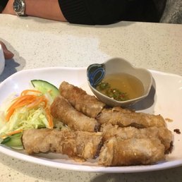 spring rolls - comes with 3