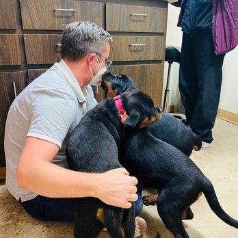 Helix Pet Hospital - Dr. Lorber meeting our pups - Veterinarians Near Me - La Mesa, California Helix Pet Hospital - Dr. Lorber meeting our pups - Veterinarians Near Me - La Mesa, California