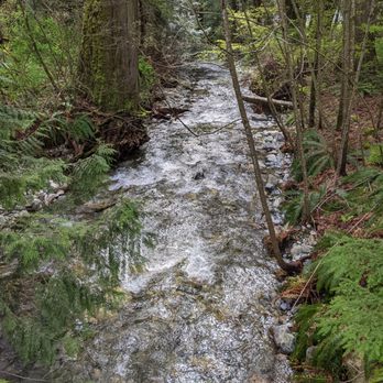 Sandpiper Golf Course - Golf Near Me - Harrison Mills, British Columbia