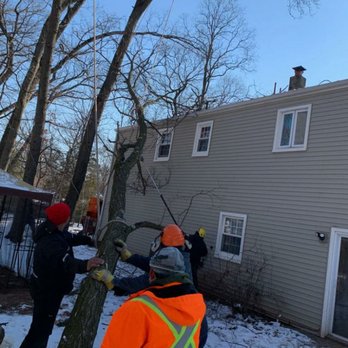 Diaz Landscape Design & Tree Service - Tree service! - Tree Services Near Me - Piscataway, New Jersey Diaz Landscape Design & Tree Service - Tree service! - Tree Services Near Me - Piscataway, New Jersey