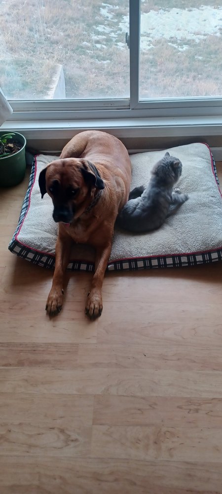 Slide of Energy Capital Plumbing & Construction