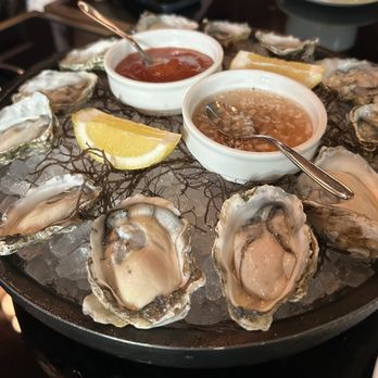 Cino - Dozen oysters - Italian Near Me - Honolulu, Hawaii