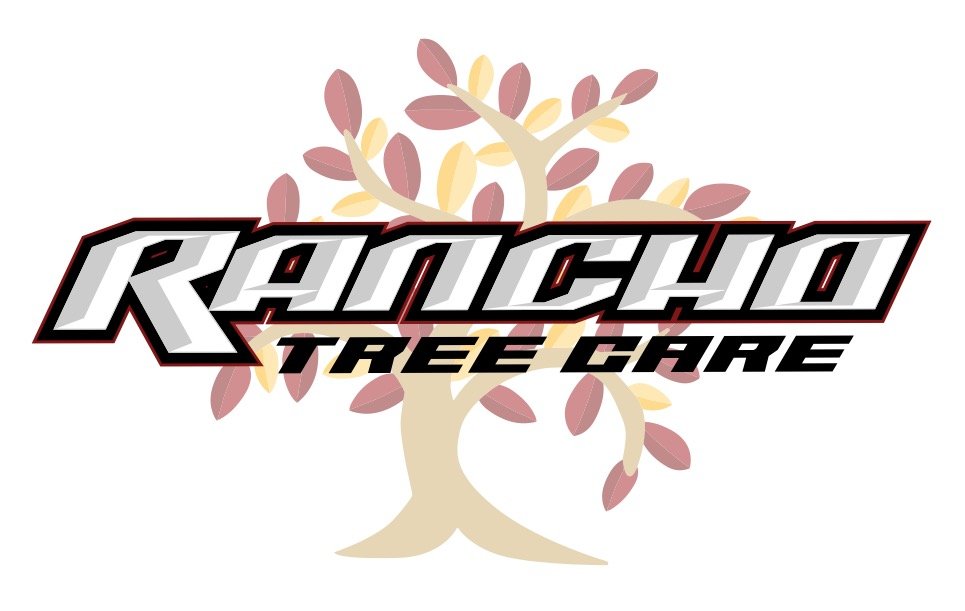 Rancho Tree Care - tree service in Northridge, CA