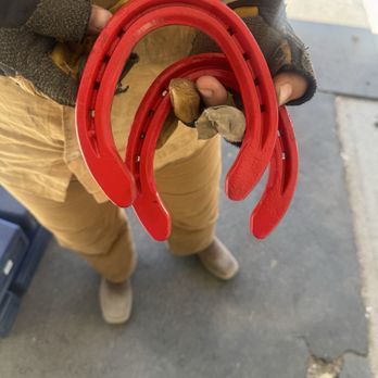 Deets Equine Service - Red bottoms for Bun - Farriers Near Me