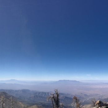 Griffith Peak Trail - Hiking Near Me - Mount Charleston, Nevada