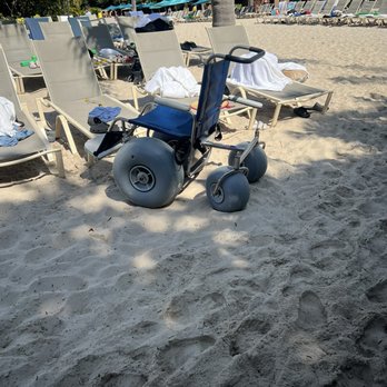 Discovery Cove - Wheelchairs available - Amusement Parks Near Me - Orlando, Florida