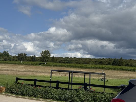 Dune Bird Winery by null