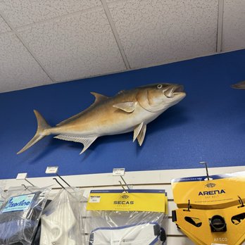 The Longfin - Outdoor Gear Near Me - Orange, California The Longfin - Outdoor Gear Near Me - Orange, California