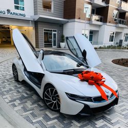 Tigerstripe Motors